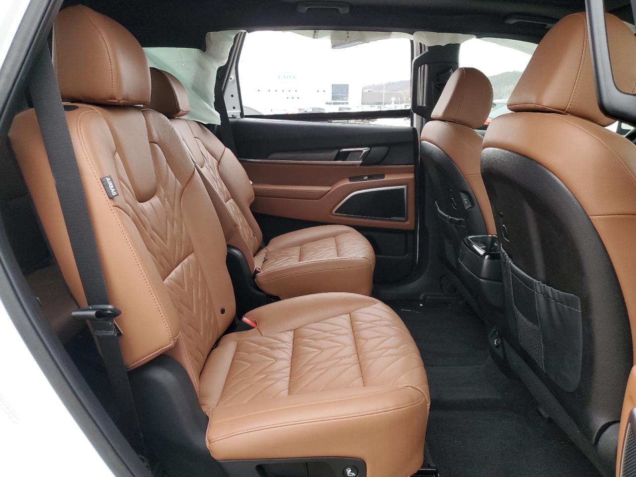 2024 KIA TELLURIDE EX VIN:5XYP3DGC8RG546596