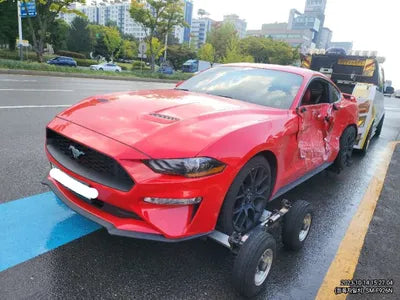 2020 Ford Mustang 600KM1FA6P8THXL51 VIN:600KM1FA6P8THXL51