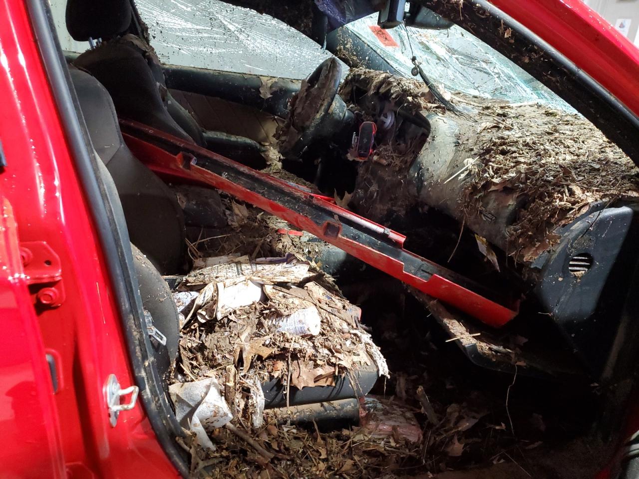 2023 DODGE CHARGER R/T VIN:2C3CDXCT0PH548378