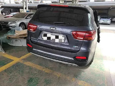 2019 Kia Sorento KNAPS81BBLA557183 VIN:KNAPS81BBLA557183