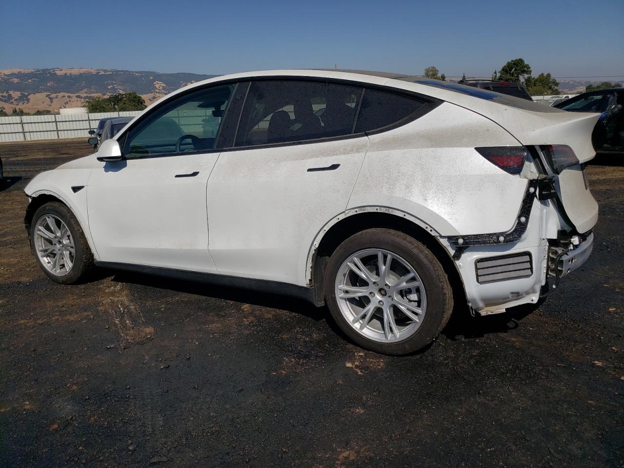 2022 TESLA MODEL Y VIN:7SAYGDEE7NF490703