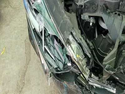 2021 Tesla Model 3 VIN:
