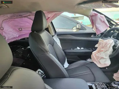 2019 Hyundai Santa FE KMHS381ABKU141821 VIN:KMHS381ABKU141821