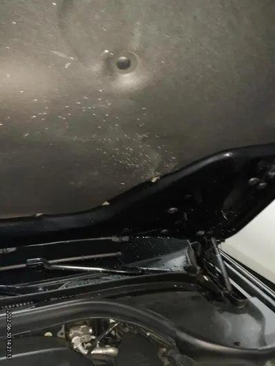 2019 BMW 520 WBAJF5100KWW39765 VIN:WBAJF5100KWW39765