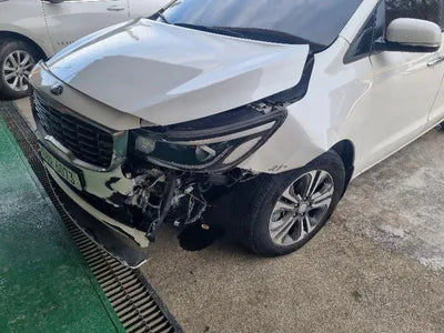 2019 Kia Carnival KNAMB81ABKS523672 VIN:KNAMB81ABKS523672