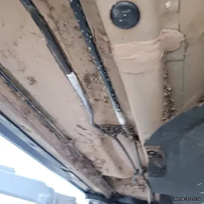 2021 BMW X4 M NONE VIN: