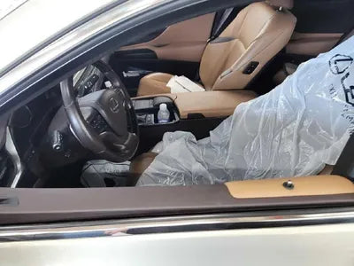 2019 Lexus ES 300 VIN: