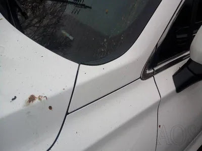 2021 Hyundai Santa FE KMHS381HGMU336284 VIN:KMHS381HGMU336284