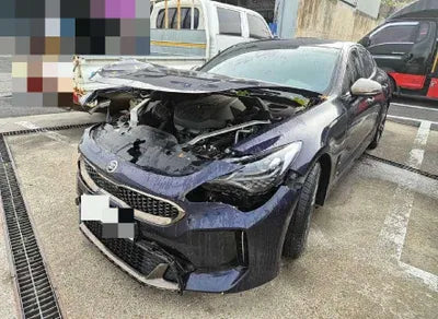 2019 Kia Stinger VIN: