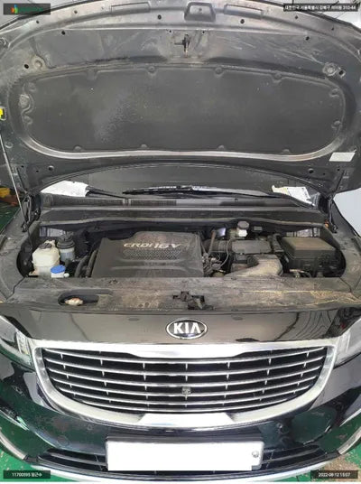 2016 Kia Carnival KNAME81ABGS201939 VIN:KNAME81ABGS201939