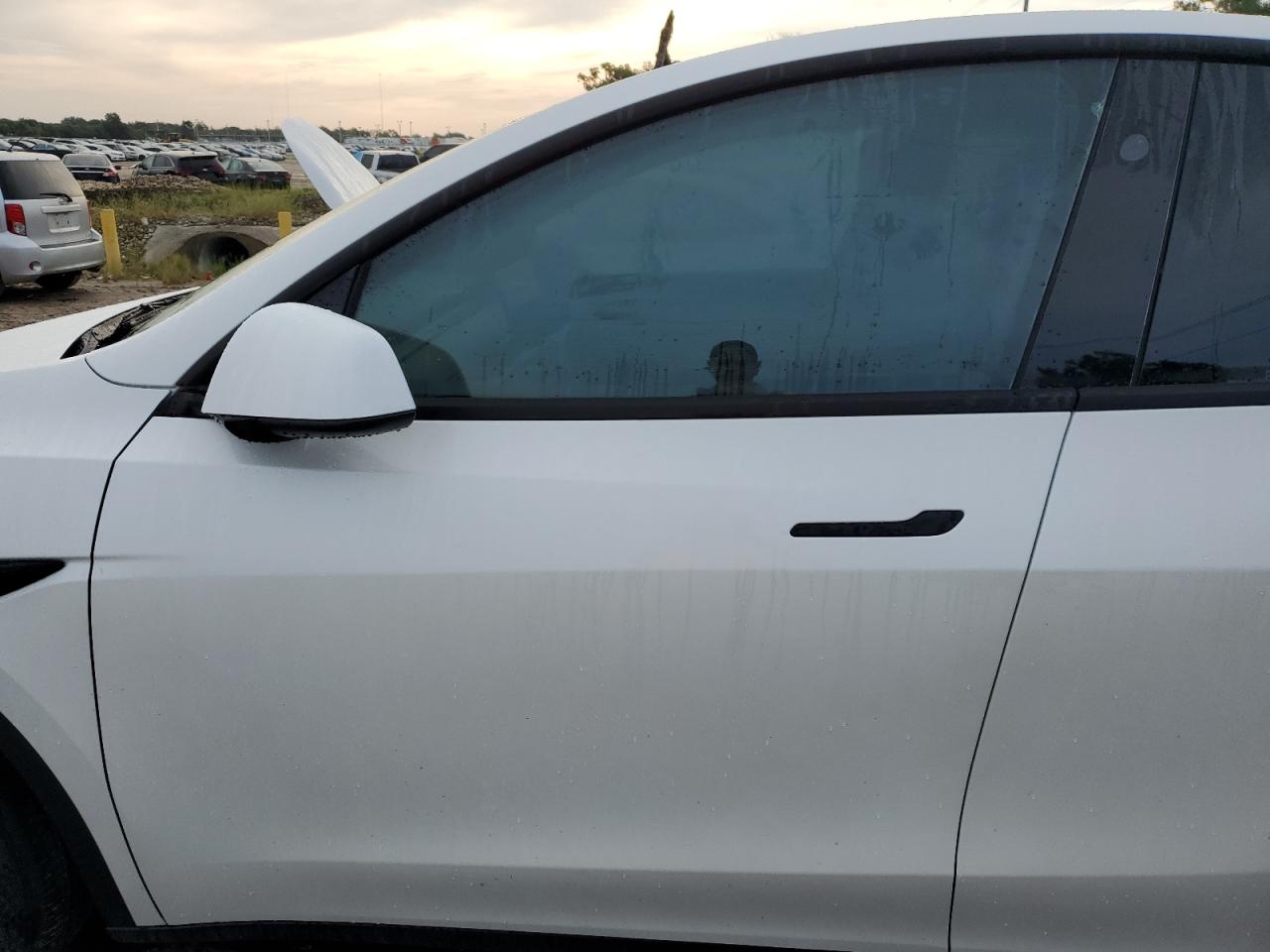 2024 TESLA MODEL Y  VIN:7SAYGDEDXRF129365