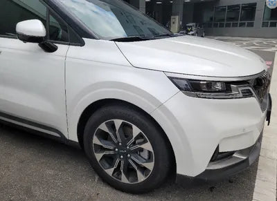 2022 Kia Carnival KNANE81BBNS173481 VIN:KNANE81BBNS173481