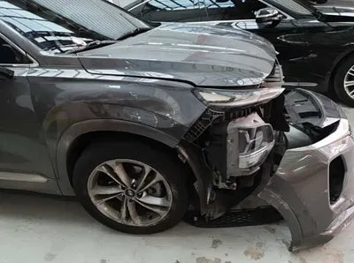 2019 Hyundai Santa FE KMHS581CBKU165840 VIN:KMHS581CBKU165840