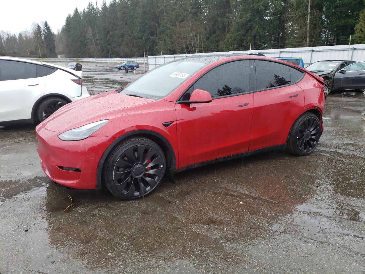 2022 TESLA MODEL Y  VIN:7SAYGDEF6NF487316