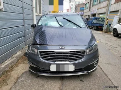 2016 Kia Carnival KNAMC81ABGS204821 VIN:KNAMC81ABGS204821