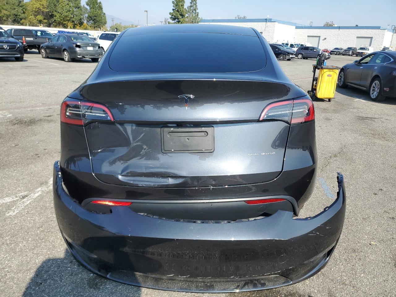 2024 TESLA MODEL Y  VIN:7SAYGAEE0RF018427