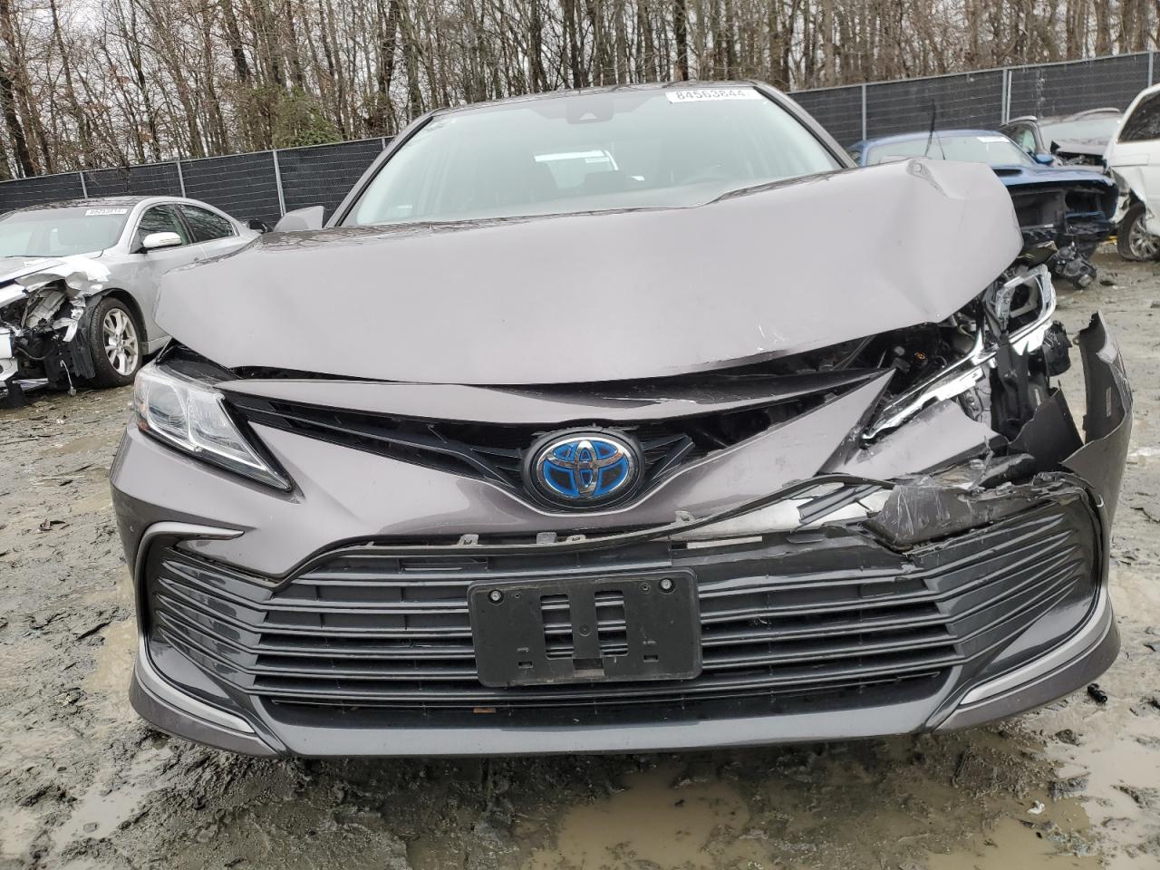 2022 TOYOTA CAMRY LE VIN:4T1C31AK1NU041632