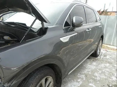 2021 Kia Sorento KNARH81BHMA044467 VIN:KNARH81BHMA044467
