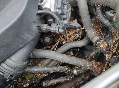 2019 BMW 520 WBAJK7107KGL29288 VIN:WBAJK7107KGL29288