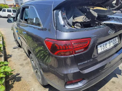 2019 Kia Sorento KNAPS81BDKA507127 VIN:KNAPS81BDKA507127