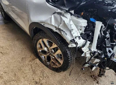 2020 Kia Sorento KNAPH81BBLA584791 VIN:KNAPH81BBLA584791
