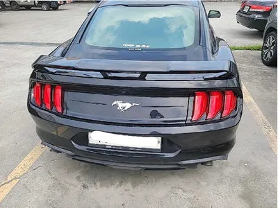 2019 Ford Mustang 571KM1FA6P8TH5K51 VIN:571KM1FA6P8TH5K51