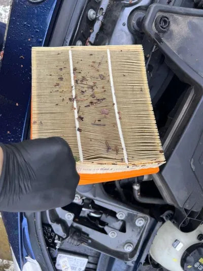 2016 BMW 320 WBA8A9101GK759786 VIN:WBA8A9101GK759786