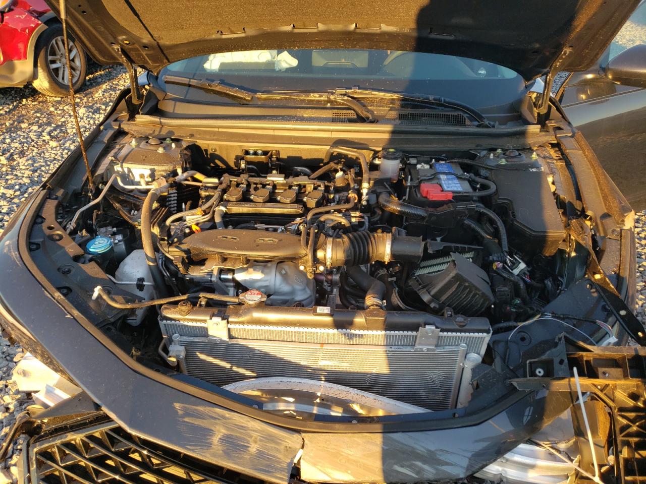 2024 HONDA ACCORD LX VIN:1HGCY1F21RA065467