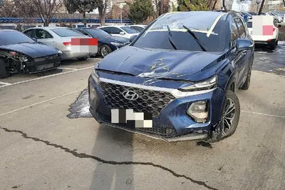 2018 Hyundai Santa FE KMHS381BBKU048278 VIN:KMHS381BBKU048278