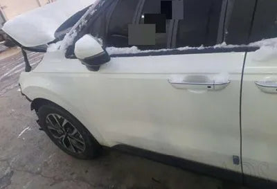 2020 Kia Carnival VIN: