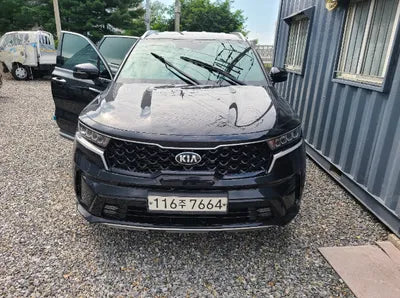 2021 Kia Sorento KNARL81BGMA067124 VIN:KNARL81BGMA067124