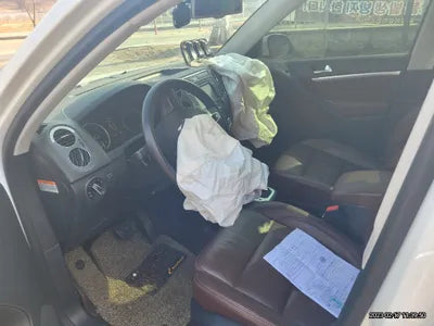 2015 Volkswagen Tiguan WVGZZZ5NZFW513309 VIN:WVGZZZ5NZFW513309