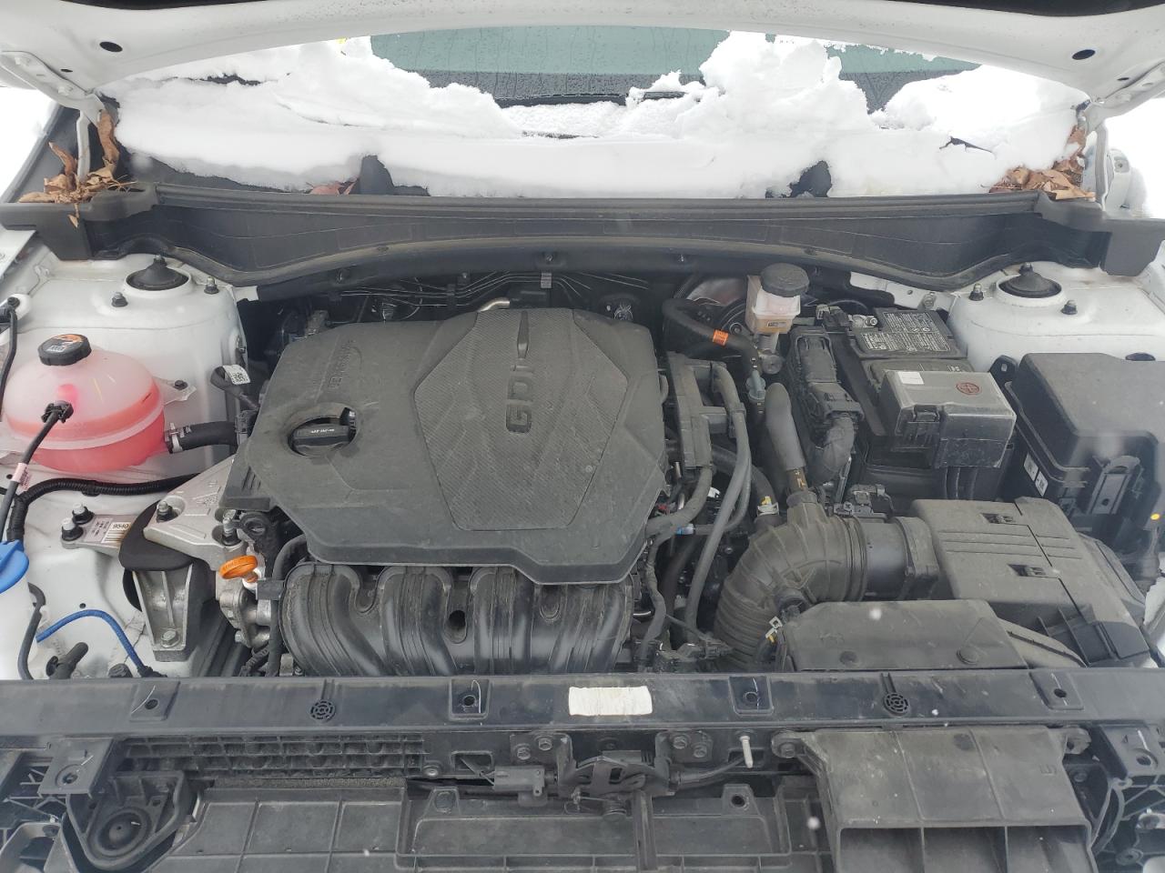 2024 KIA SPORTAGE X LINE VIN:5XYK6CDF0RG181003