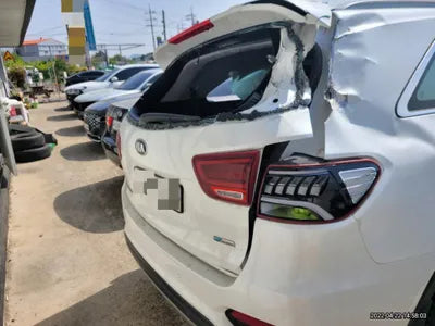 2019 Kia Sorento KNAPH81BBLA564657 VIN:KNAPH81BBLA564657