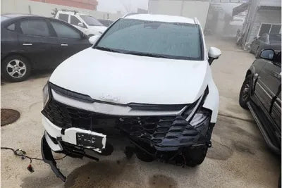 2023 Kia Sportage KNAPY81JBPK136306 VIN:KNAPY81JBPK136306