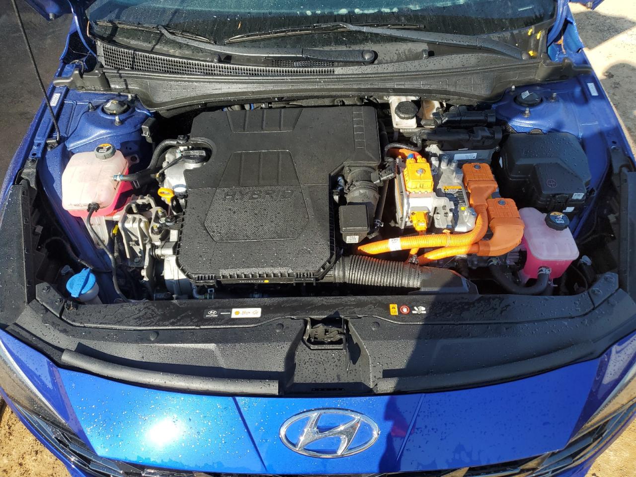 2023 HYUNDAI ELANTRA LIMITED VIN:KMHLN4AJ3PU051164