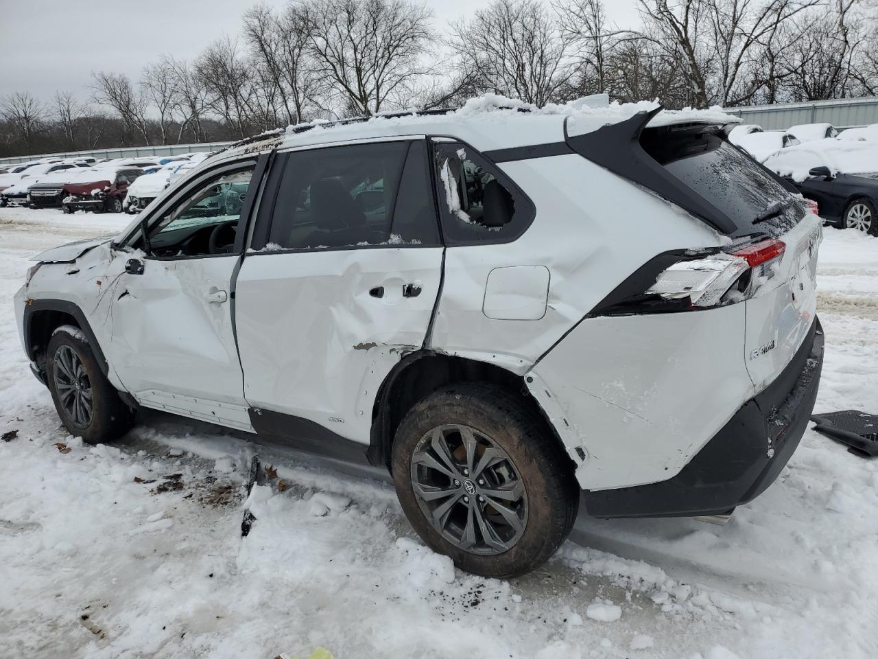 2023 TOYOTA RAV4 XLE PREMIUM VIN:4T1C11AK5LU955658