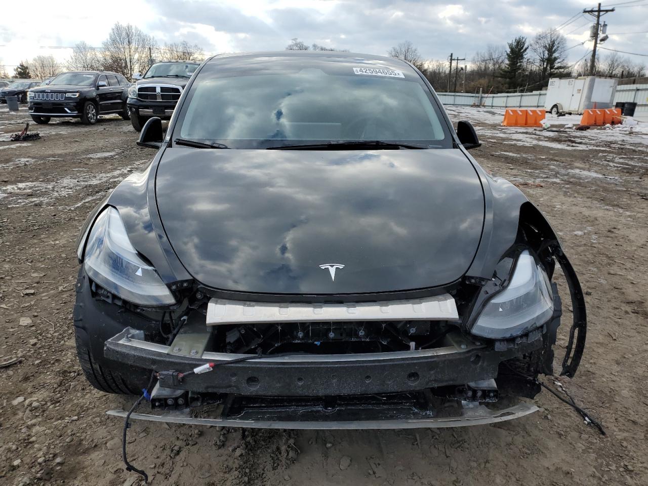 2023 TESLA MODEL Y  VIN:7SAYGDEF4PF834497
