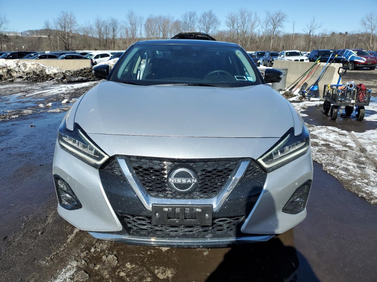 2023 NISSAN MAXIMA PLATINUM VIN:1N4AA6FVXPC501029