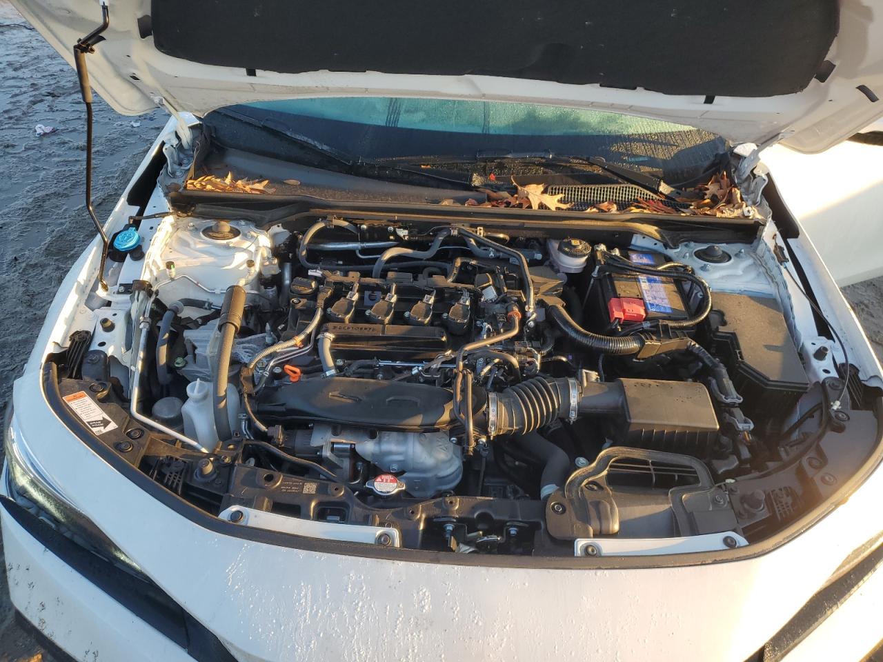 2024 HONDA CIVIC TOURING VIN:2HGFE1F93RH324173