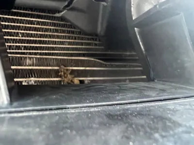 2015 Volkswagen Jetta WVWZZZ16ZFM041275 VIN:WVWZZZ16ZFM041275