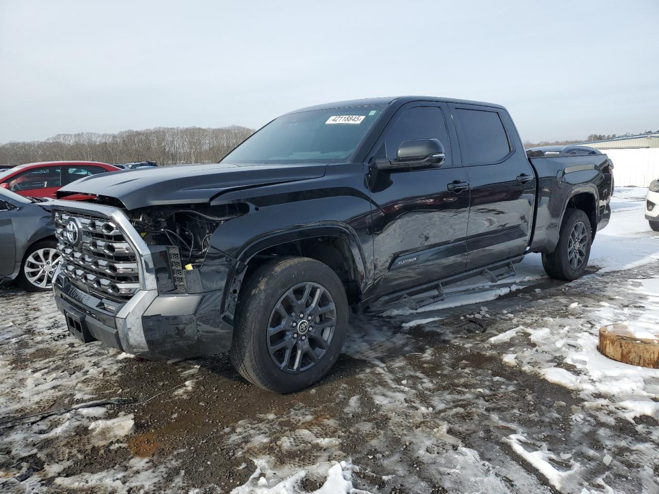 2023 TOYOTA TUNDRA CREWMAX PLATINUM VIN:5TFNA5EC8PX015267
