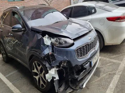 2016 Kia Sportage KNAPN813BGK034501 VIN:KNAPN813BGK034501