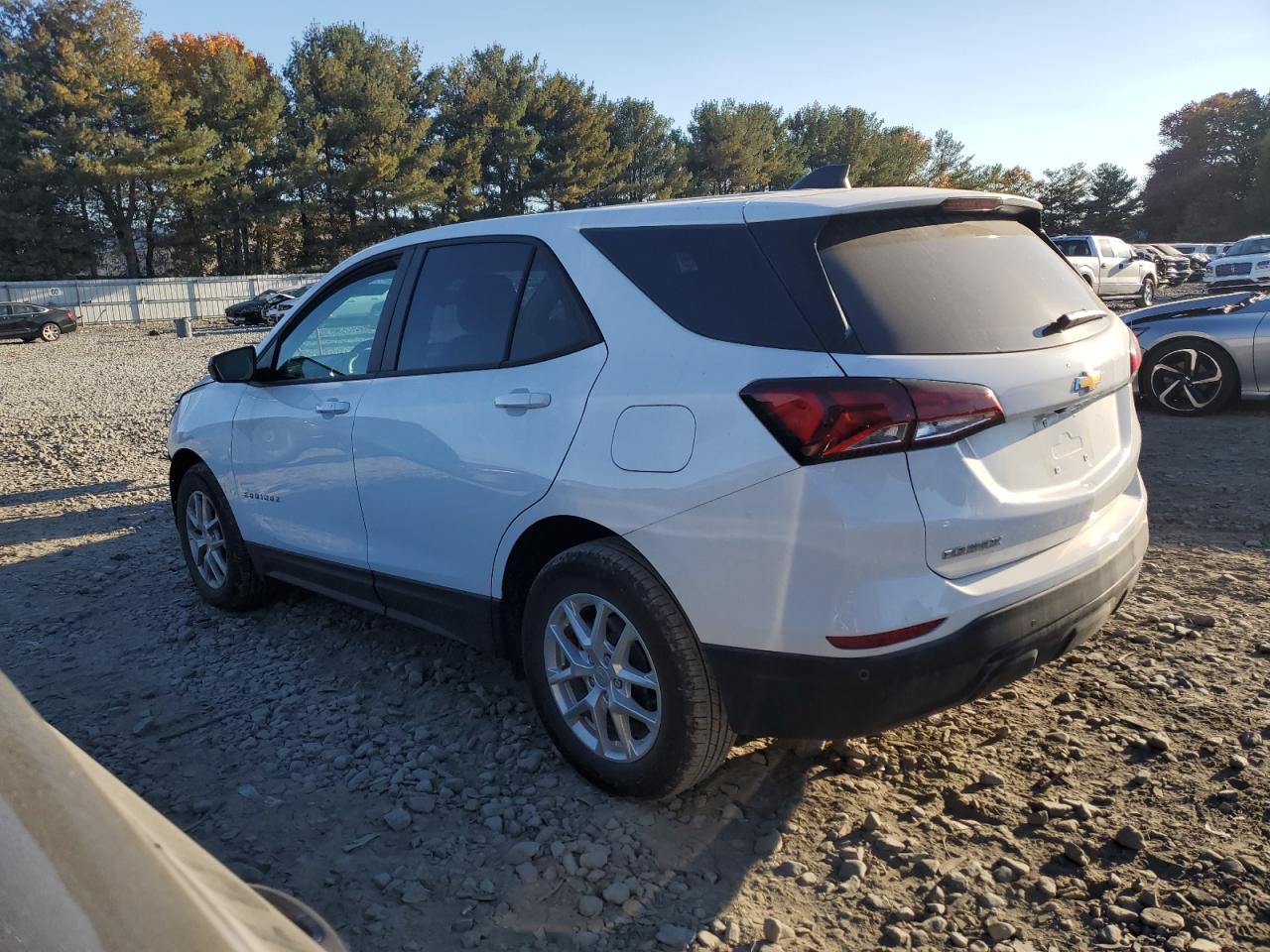 2024 CHEVROLET EQUINOX LS VIN:3GNAXHEG2RL187575