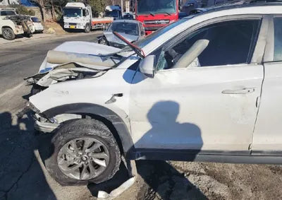 2017 Hyundai Tucson KMHJ2815GHU217833 VIN:KMHJ2815GHU217833