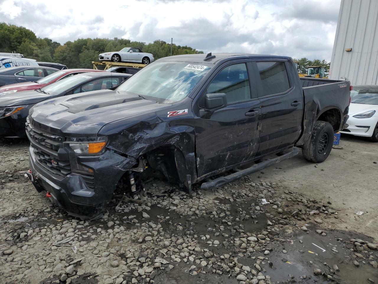 2024 CHEVROLET SILVERADO K1500 TRAIL BOSS CUSTOM VIN:3GCUDCED8RG223964