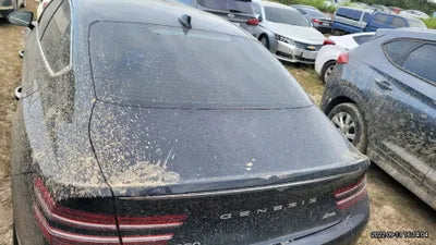 2020 Genesis G80 VIN: