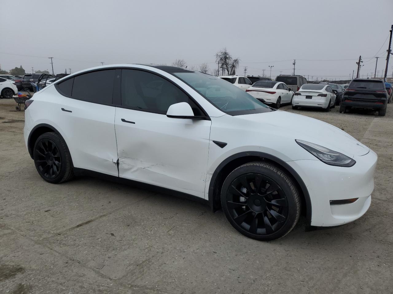 2022 TESLA MODEL Y  VIN:7SAYGDEE8NF422636