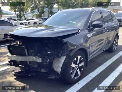2021 Kia Sorento KNARH81BGMA091598 VIN:KNARH81BGMA091598