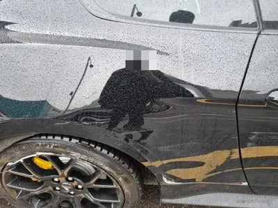 2019 Ford Mustang VIN: